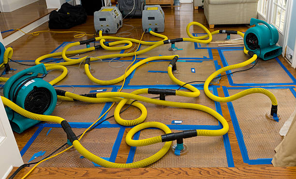 Professional Water Damage Repair technician working in Green, OH